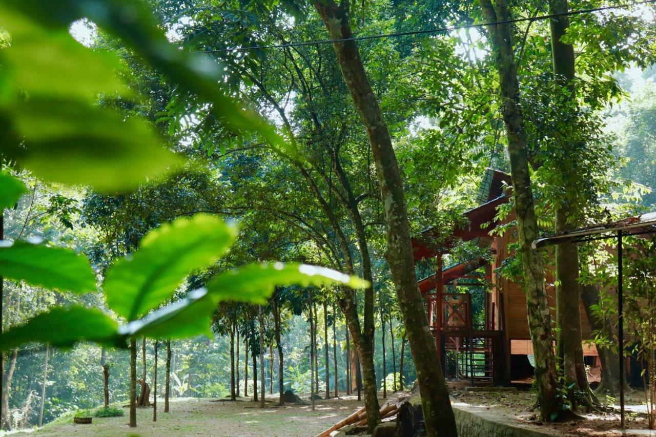 Paradise Eco Garden Kitulgala Kültér fotó