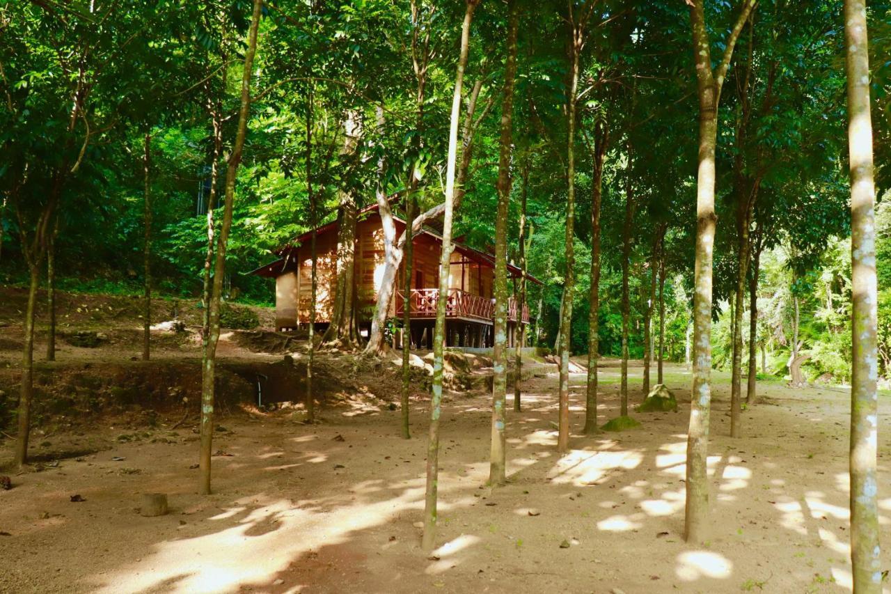Paradise Eco Garden Kitulgala Kültér fotó