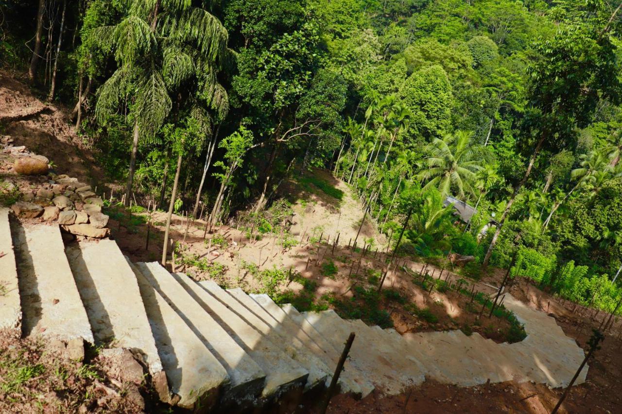 Paradise Eco Garden Kitulgala Kültér fotó